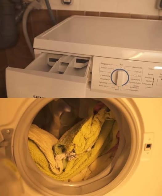 475423783 122173037714279931 5589510386417737854 N