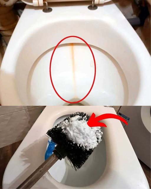 475433370 122172778826279931 6853689290048556555 N