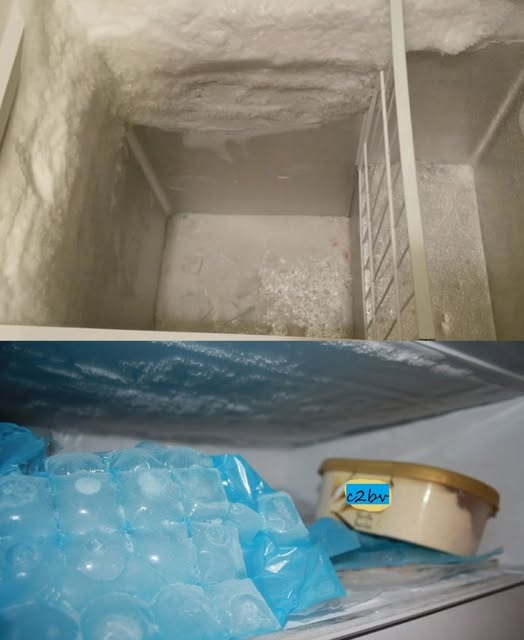 475493236 122173429226279931 3723514859757157198 N