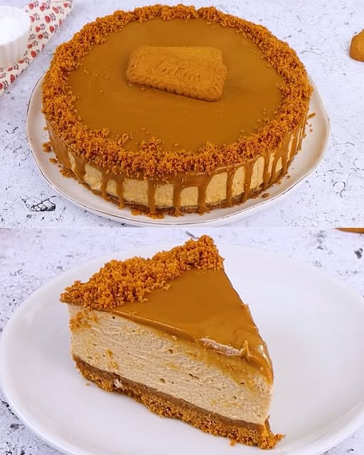 475819903 122173065356279931 8356887509978354852 N