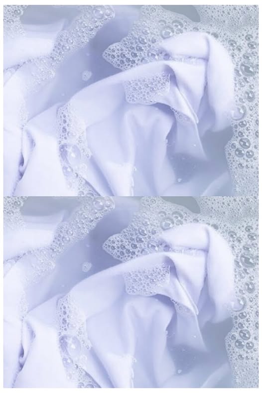 475849024 122173399994279931 6670507852387893321 N