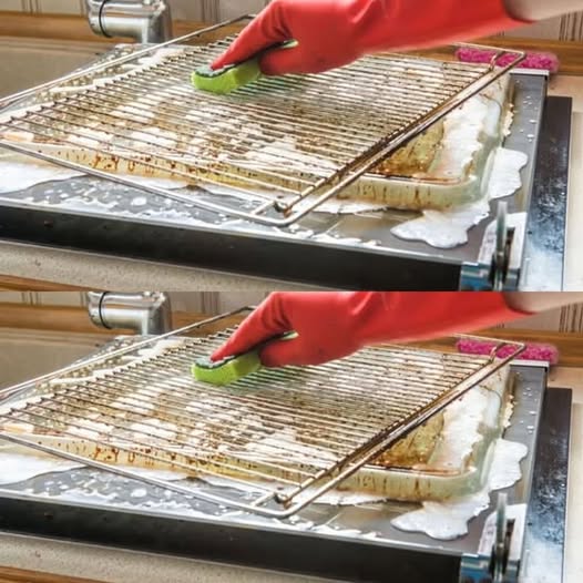 475897770 122173066418279931 5850327877507278545 N