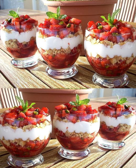 475974103 122173054394279931 4229242720026818431 N