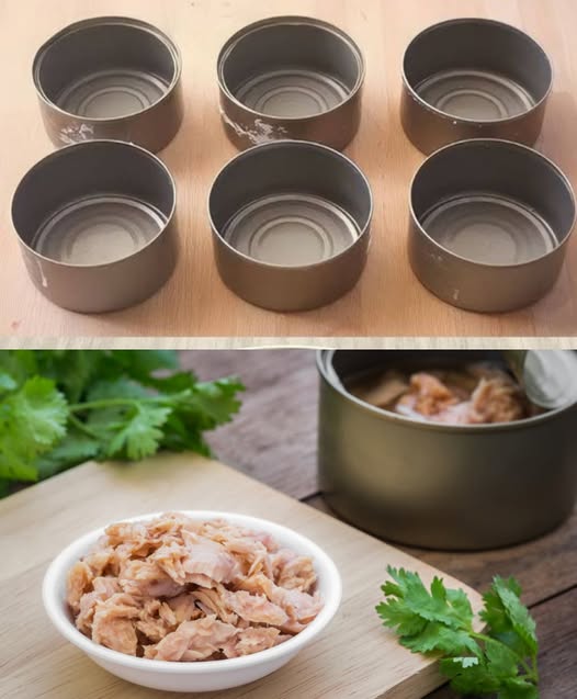 475977100 122173431290279931 1057171342410765229 N