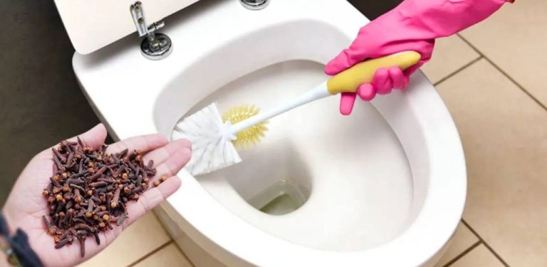 476279973 122174236562279931 3911096993086443474 N