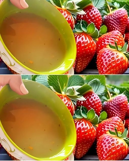 476298749 122118377132680858 8549773409965953565 N