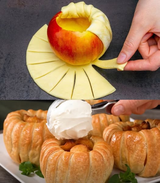 476341363 122174046338279931 6372846190490828029 N