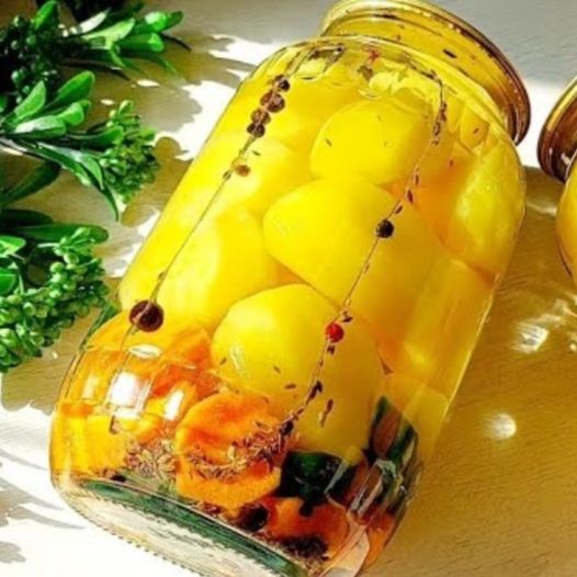 476431008 122174067524279931 1972196270544598329 N