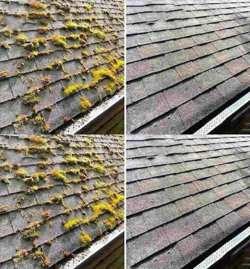 476804497 122174052554279931 183062273704285704 N