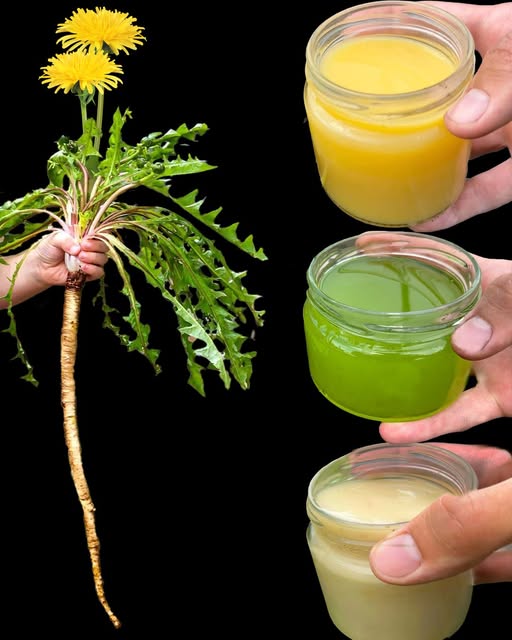 476847117 122173753994279931 4384562646629030997 N