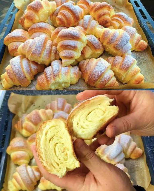 476903482 122174115656279931 6649430224103083890 N