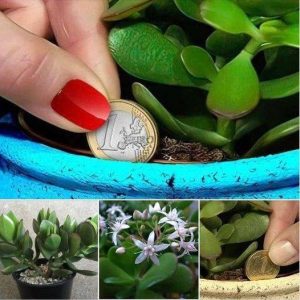 476912035 122174152598279931 3784213904674538442 N