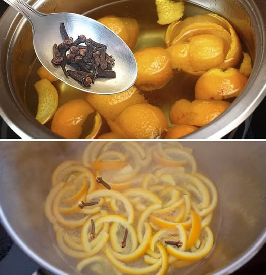 476950005 122174137388279931 750318252081170017 N