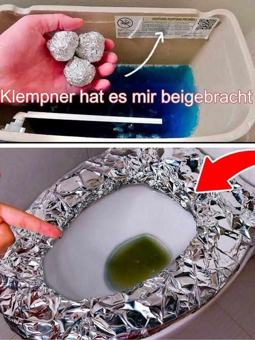 477041297 122174150408279931 1597046863467293590 N