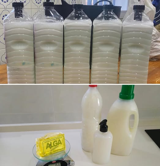 479493534 122174931056279931 1501190852399544351 N