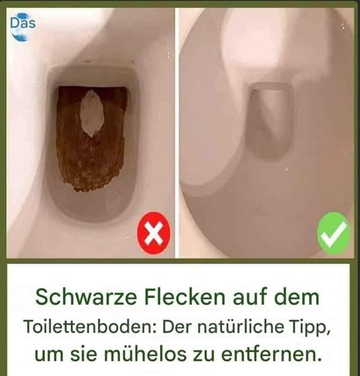 480274980 122174975474279931 5026483685232838841 N