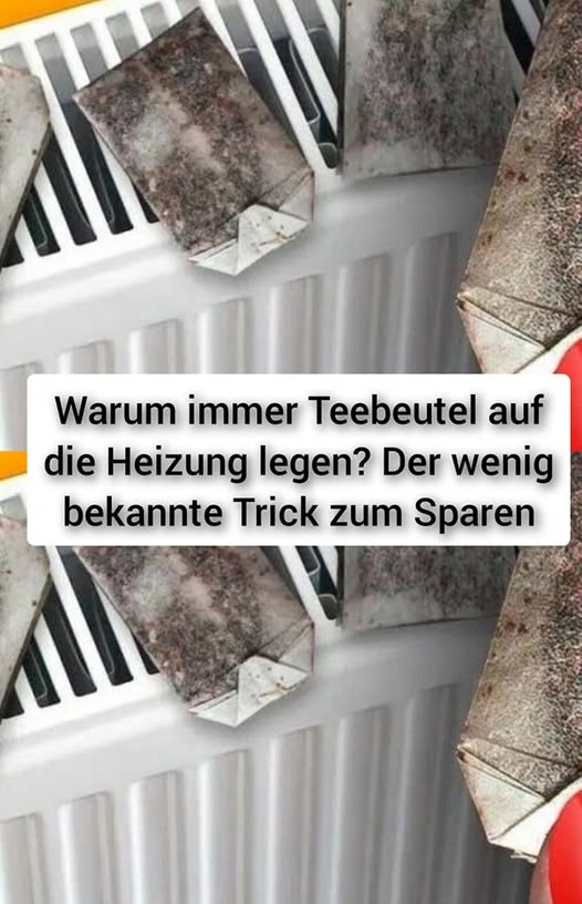 480289421 122175051182279931 178243318153617494 N (1)