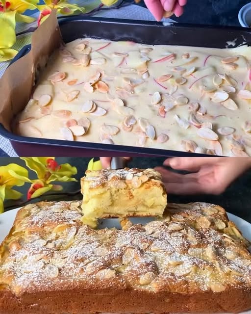 480724193 122176369178279931 3947468991033022020 N (1)