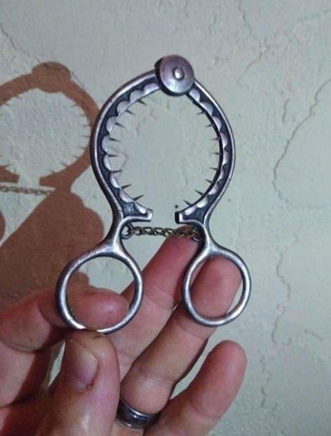 472558415 610042281981078 6768849028247589824 N