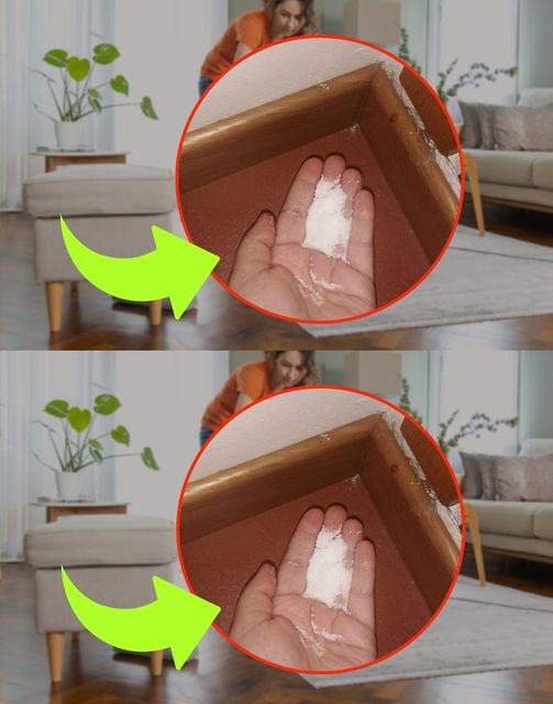 474067066 624734290511877 298717930004636652 N