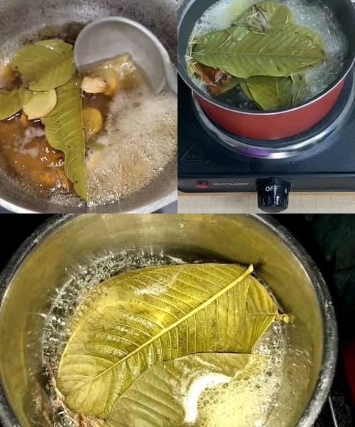 474641298 624871440498162 2133229138347121811 N