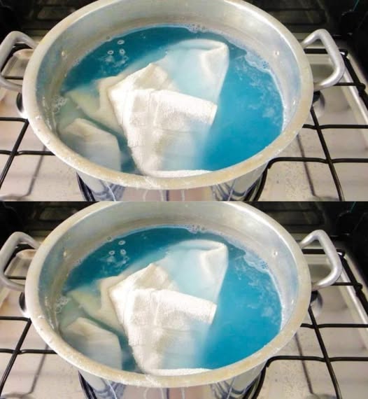 475157608 630927506559222 7994723789704096934 N