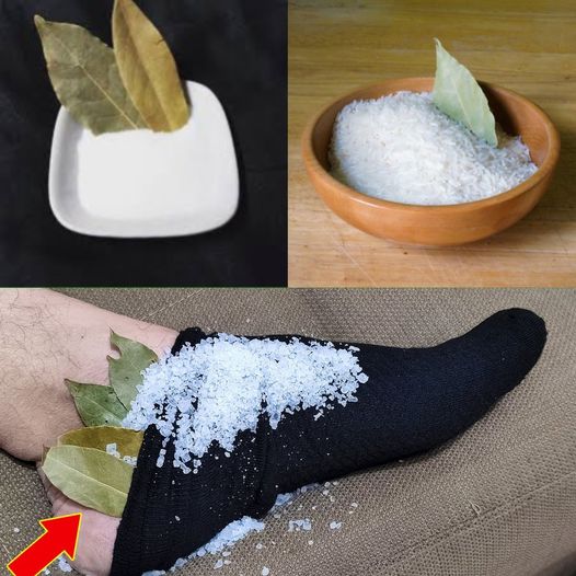 475433960 645859641732675 7887134567389651008 N