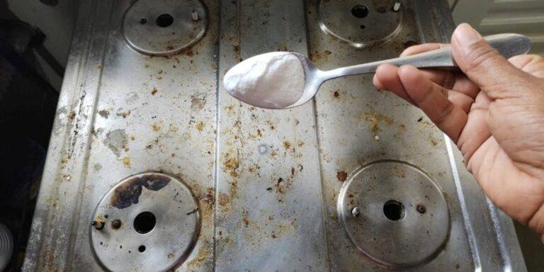 475980227 637607945891178 2843691468100745006 N