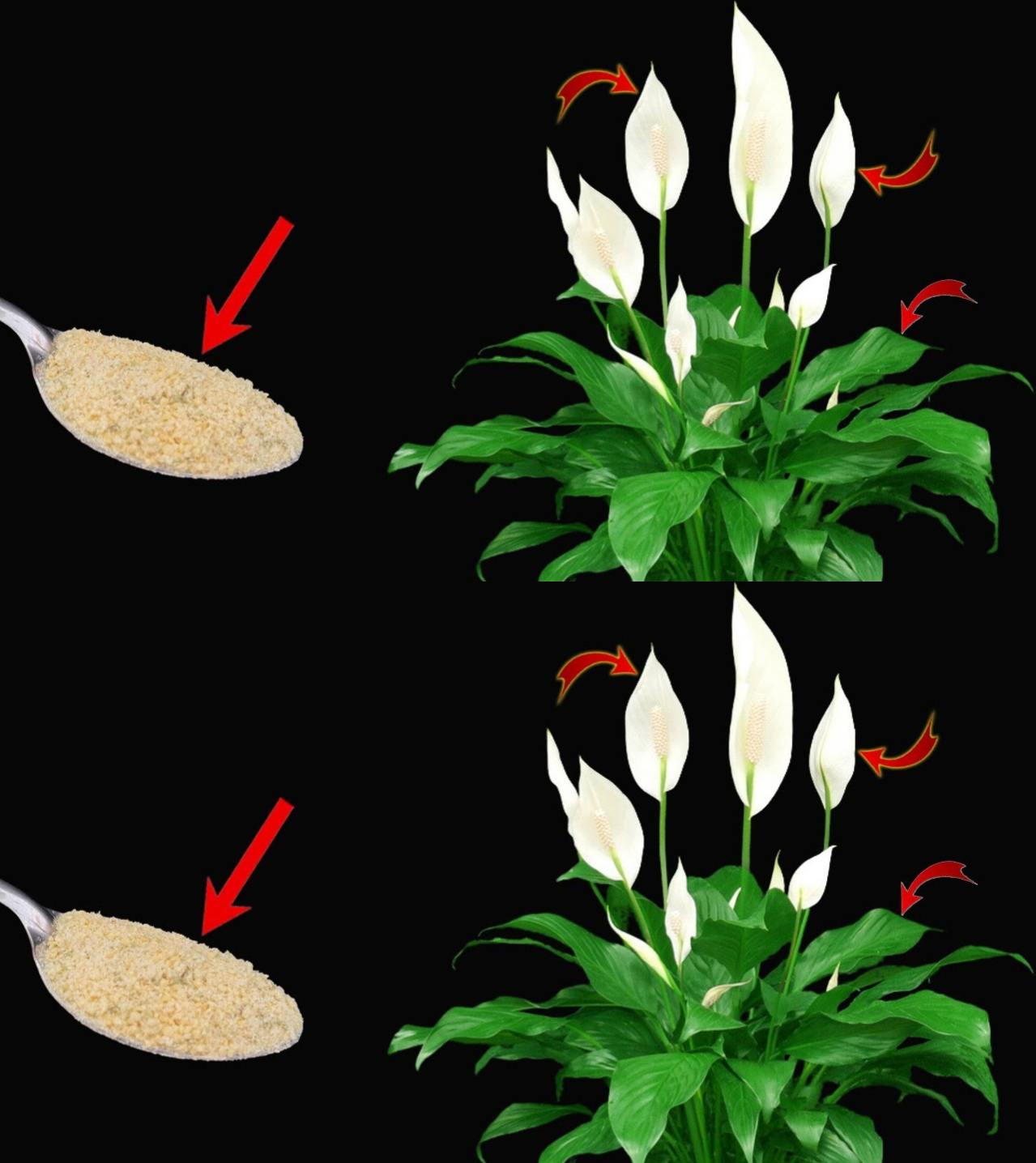 475984179 643875088597797 3351676928360662108 N