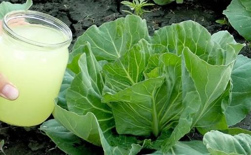 476135401 637402449245061 3010274193545116993 N