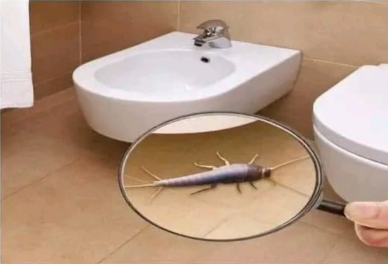 476436975 641605935491379 2228792351948175249 N