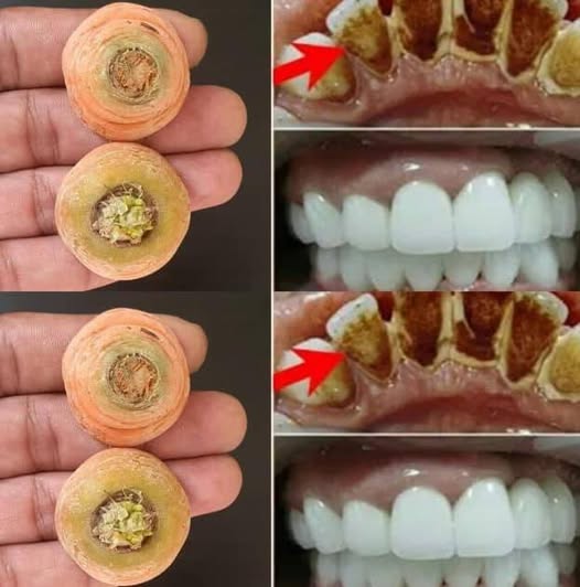 476823316 641557615496211 4482929335351491908 N