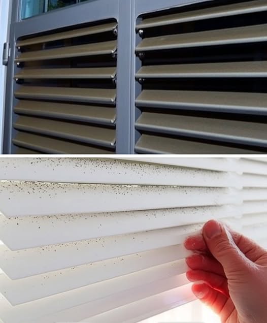 476845946 641429788842327 2294601138933731545 N