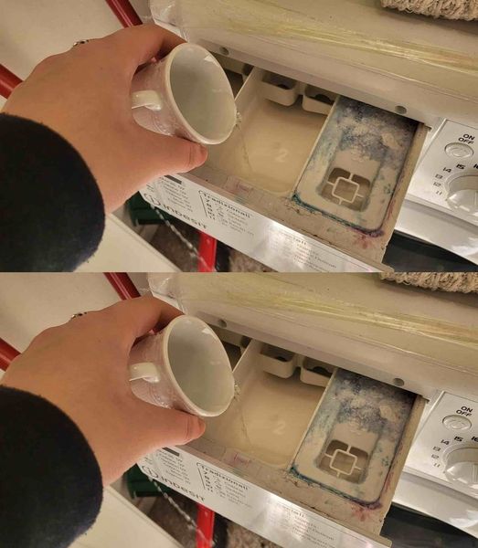 478519347 644245758560730 6814298054352408732 N