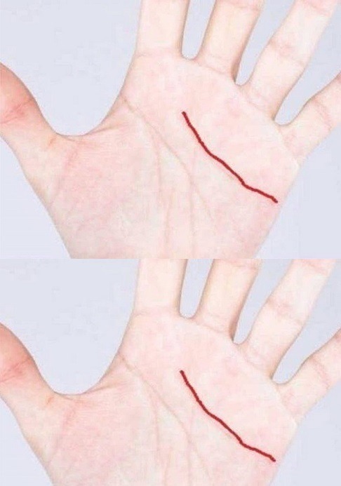 479152460 643916355260337 5036966702832863645 N