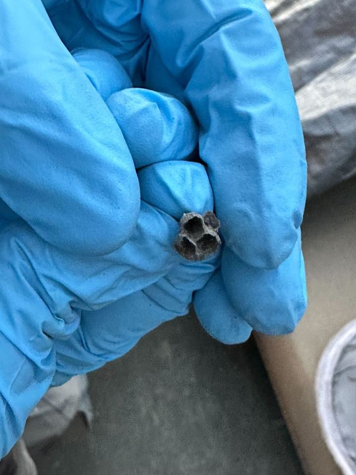 480029201 645515431767096 7866896624943210130 N