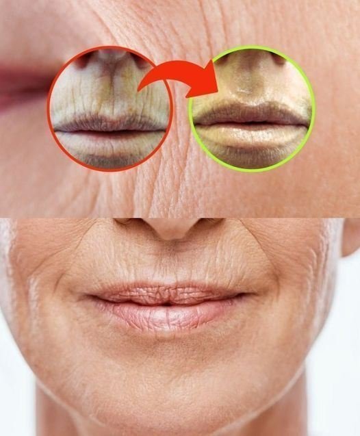 480195533 649402594711713 8422142920896552057 N