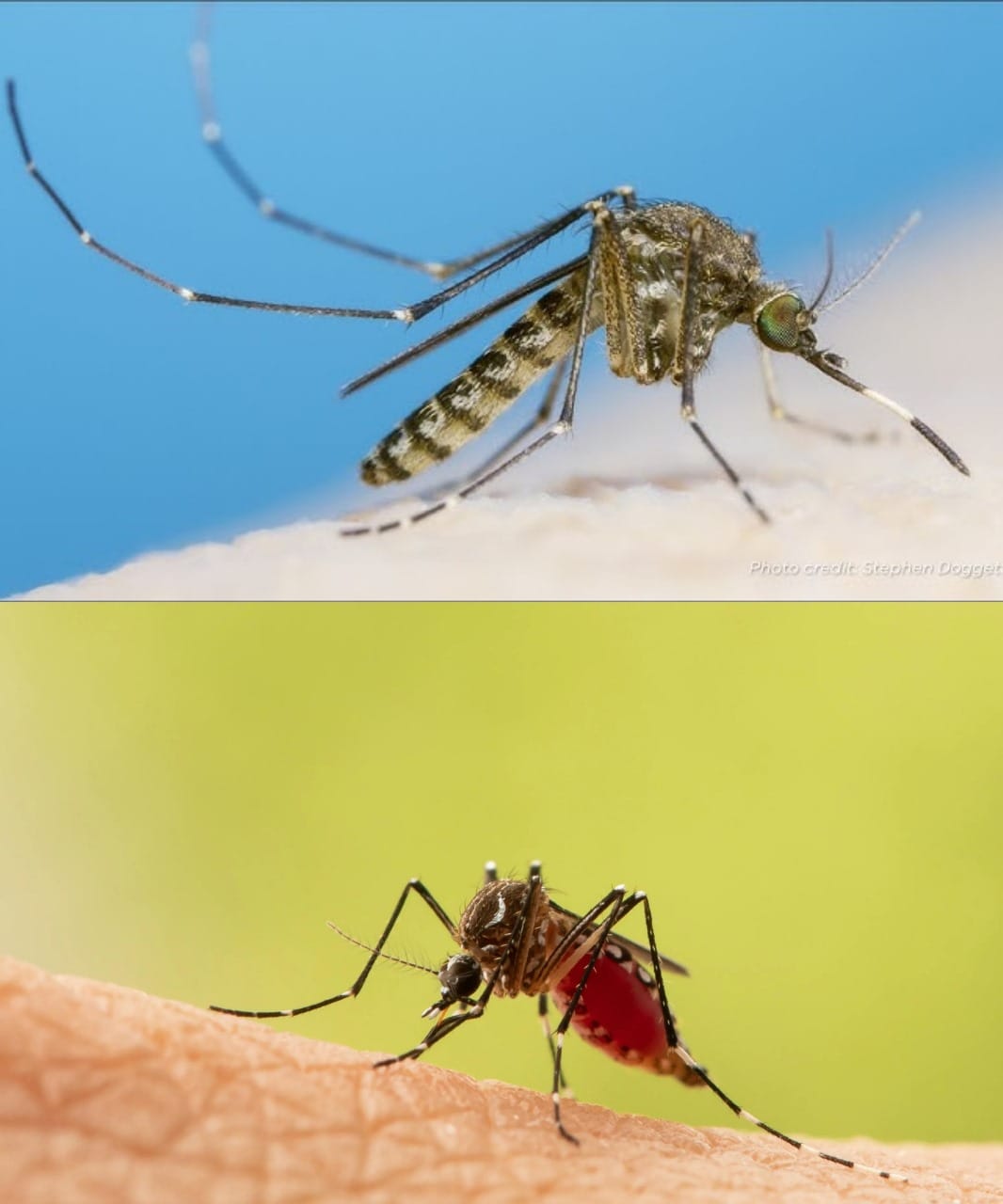 480278787 649709718014334 8132651993461068665 N