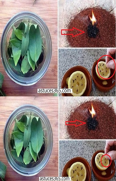 480300183 649314221387217 93469967235824178 N