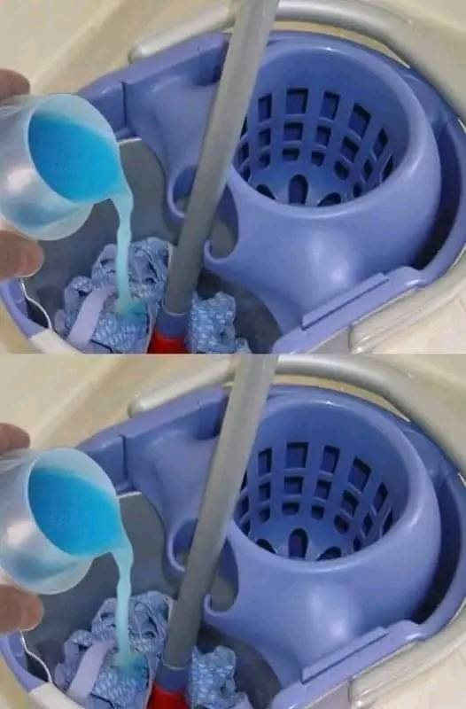 480520534 651903567794949 5176953958906088301 N