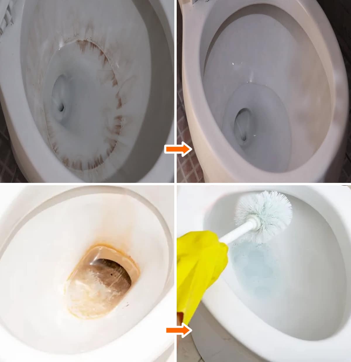 480527043 649108864741086 7141343364880446624 N