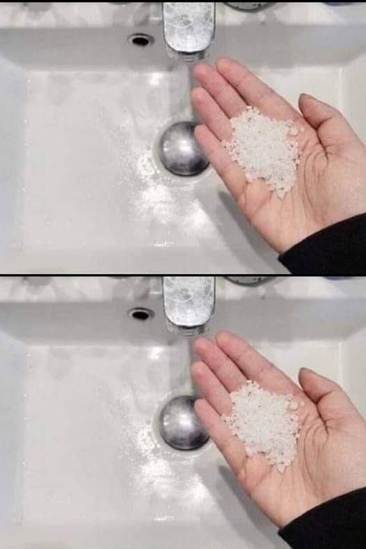 480565291 653601974291775 6746892774950005490 N