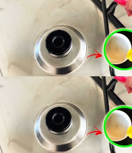 480567213 653620584289914 38145614101124364 N