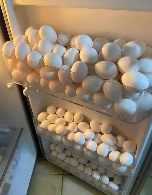 480573556 647730224878950 423382830299997689 N