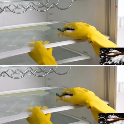 481081056 122180061494279931 9010416881657351463 N