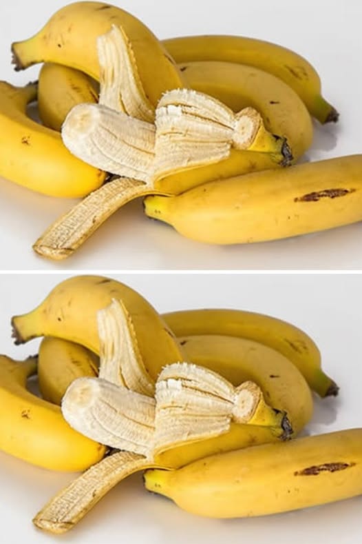 481258404 122179610222279931 8535597446821088546 N