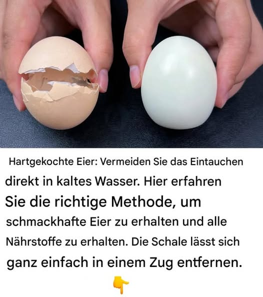 481274733 122181087194279931 797586408385520588 N