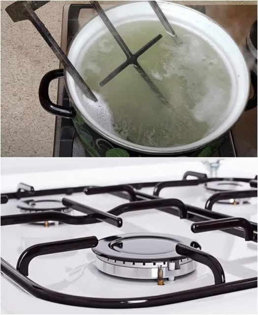 481360151 122180101346279931 5019225064925777022 N