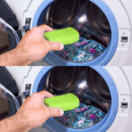 481818784 122180058836279931 2994945254947272114 N