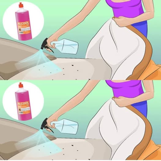 482068311 122180027930279931 5459011838387398050 N